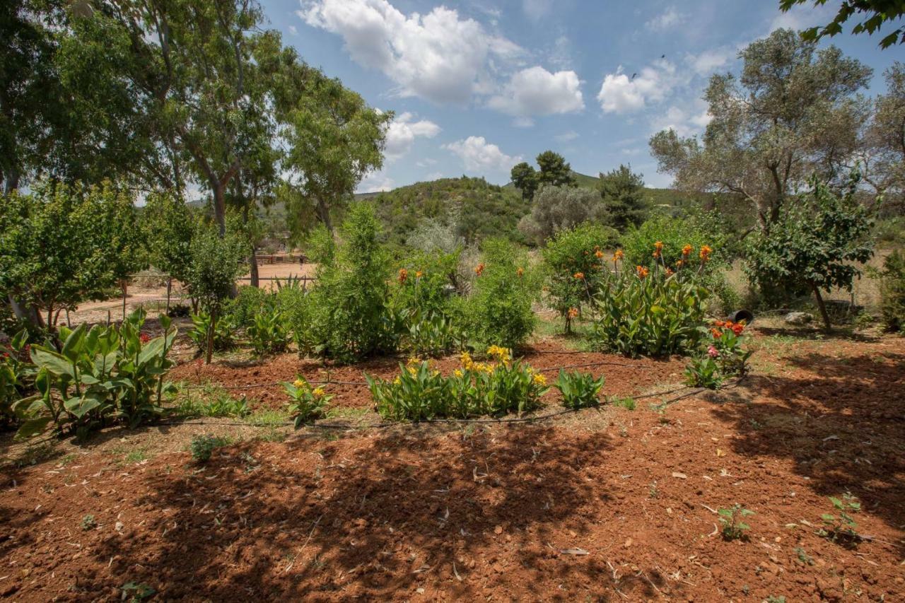 הוילה Family Getaway In Marathon By Ghh מראה חיצוני תמונה