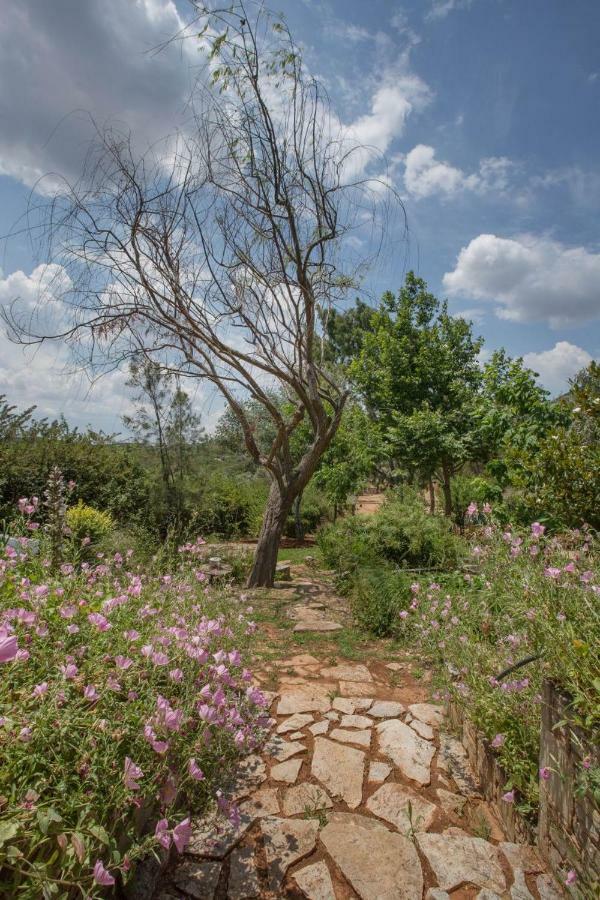 הוילה Family Getaway In Marathon By Ghh מראה חיצוני תמונה